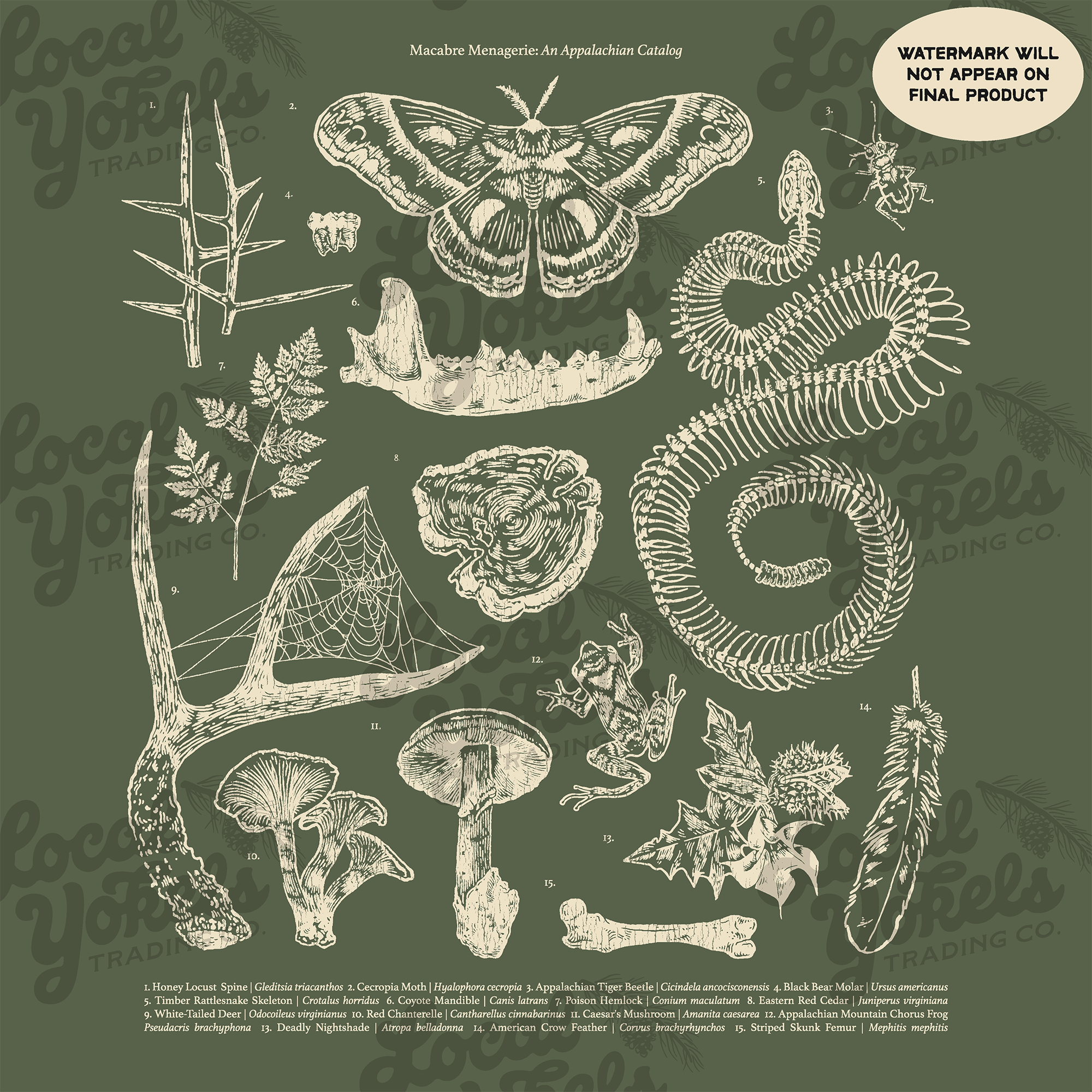 洋書 O,APPALACHIA 洋書 O,APPALACHIA The Trans-Appalachian Frontier: People
